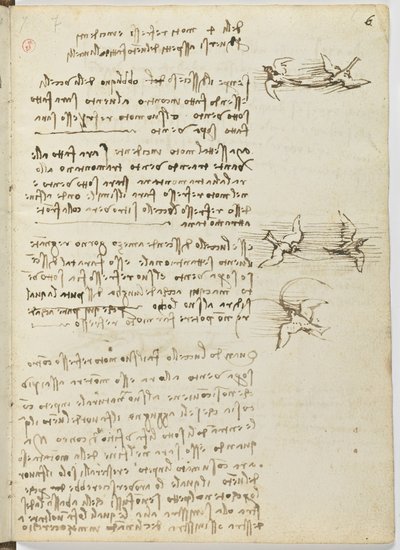 Vogelvluchtcode door Leonardo da Vinci